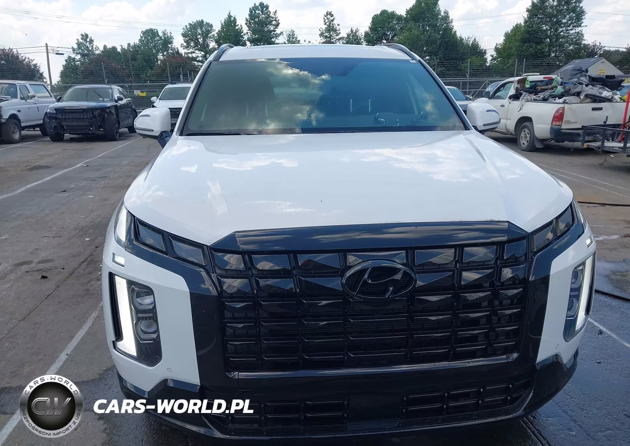 2024 Hyundai Palisade Calligraphy Night Edition VIN:KM8R7DGE4RU773860 - 6