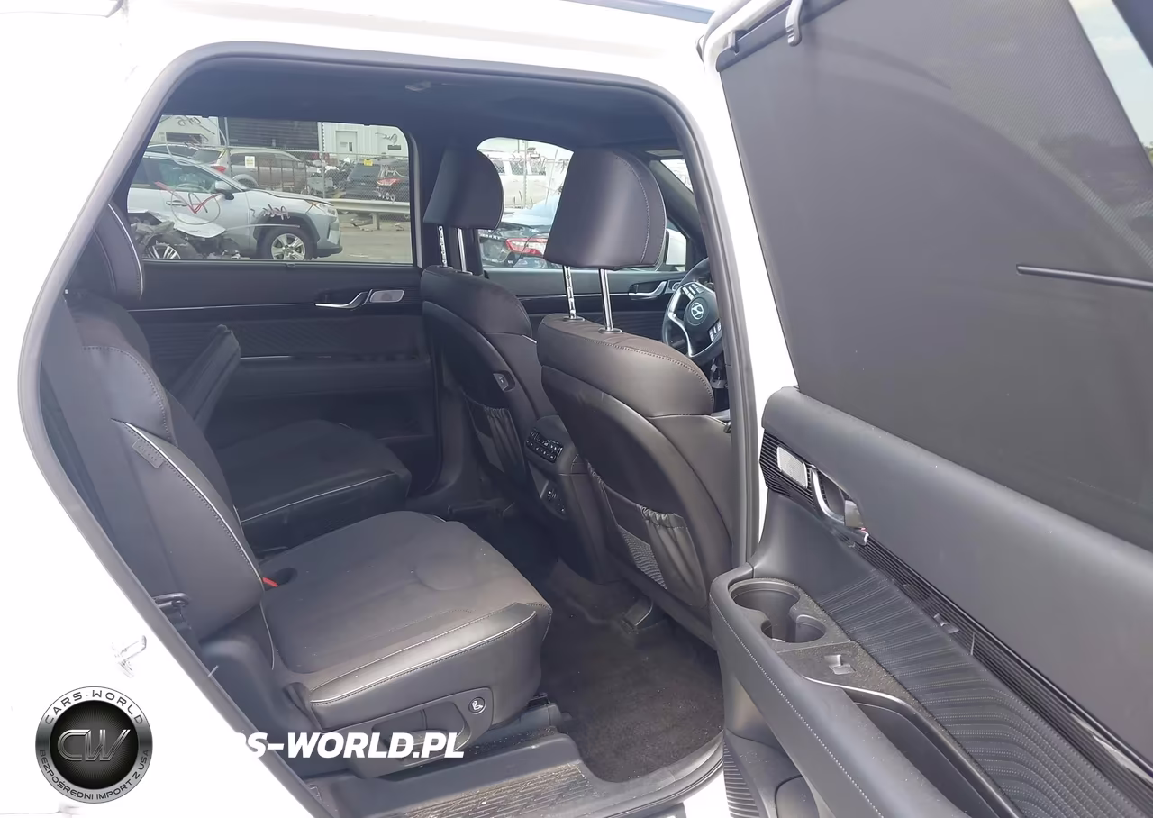 2024 Hyundai Palisade Calligraphy Night Edition VIN:KM8R7DGE4RU773860 - 8