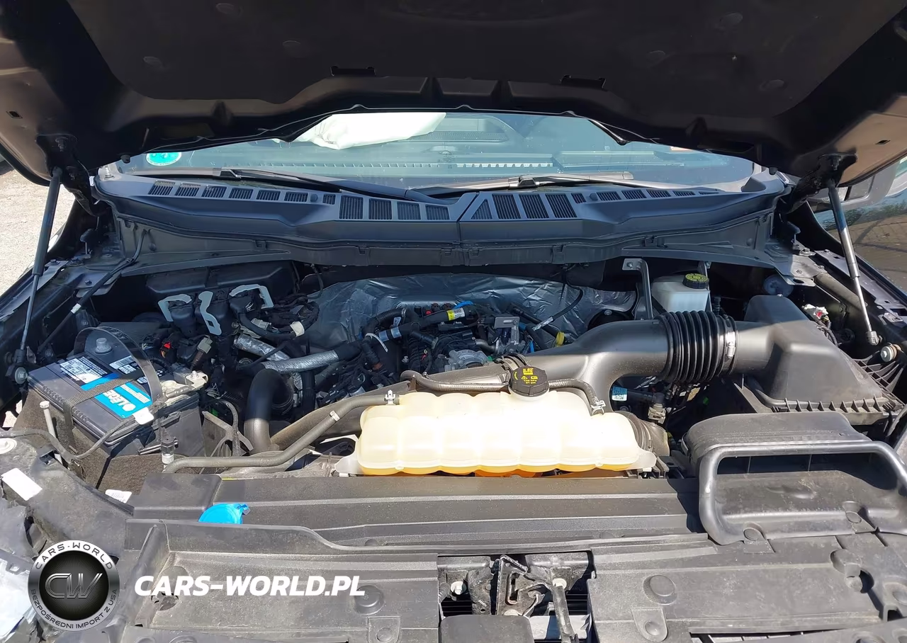2023 Ford F-150 Xlt VIN:1FTEW1EP3PFA21982 - 10