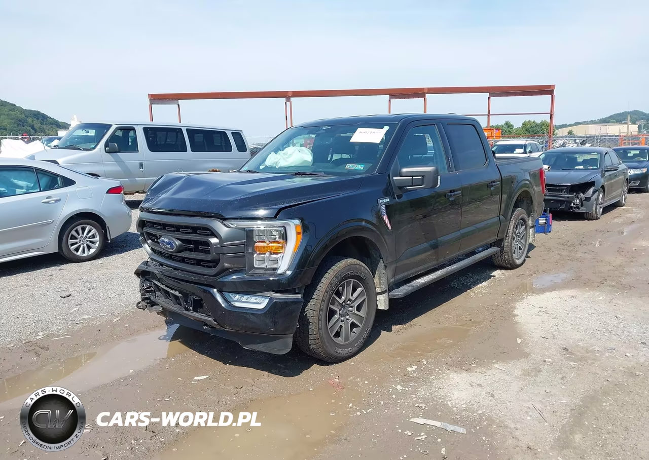 2023 Ford F-150 Xlt VIN:1FTEW1EP3PFA21982 - 2