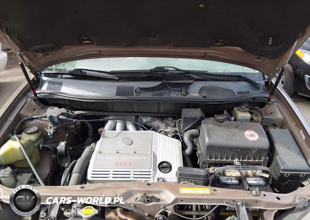 1999 Lexus Rx 300 VIN:JT6HF10U0X0010619 - 10