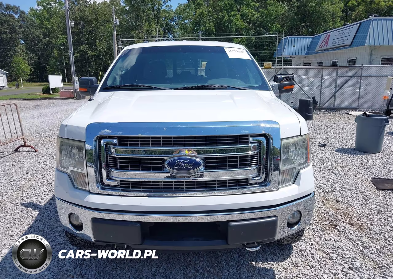 2013 Ford F-150 Xlt VIN:1FTFW1EFXDKD19699 - 12