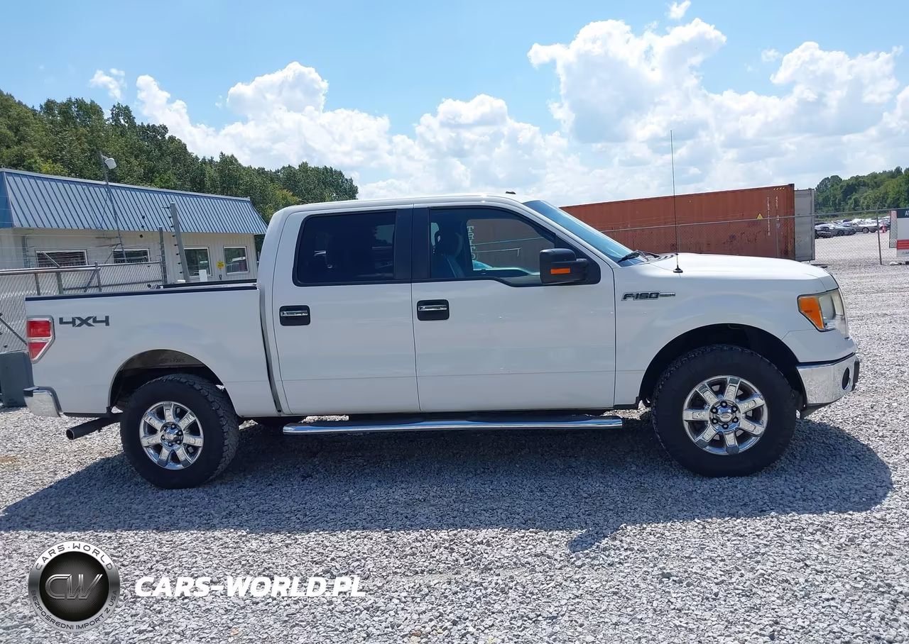 2013 Ford F-150 Xlt VIN:1FTFW1EFXDKD19699 - 13