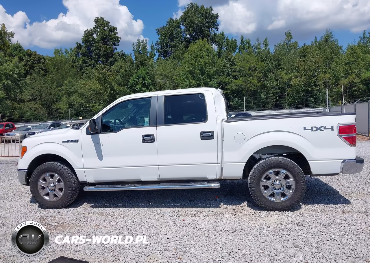 2013 Ford F-150 Xlt VIN:1FTFW1EFXDKD19699 - 14
