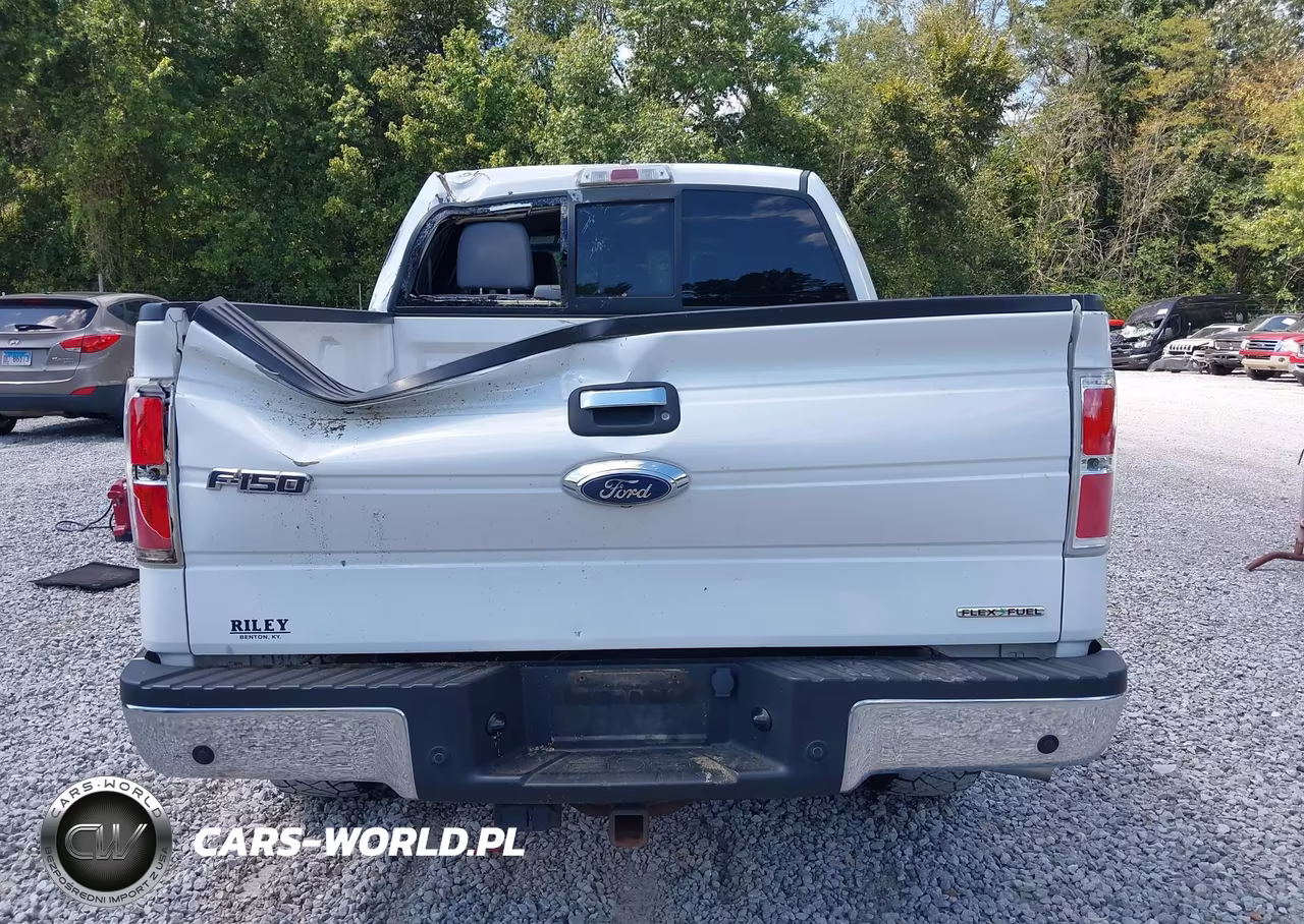 2013 Ford F-150 Xlt VIN:1FTFW1EFXDKD19699 - 16