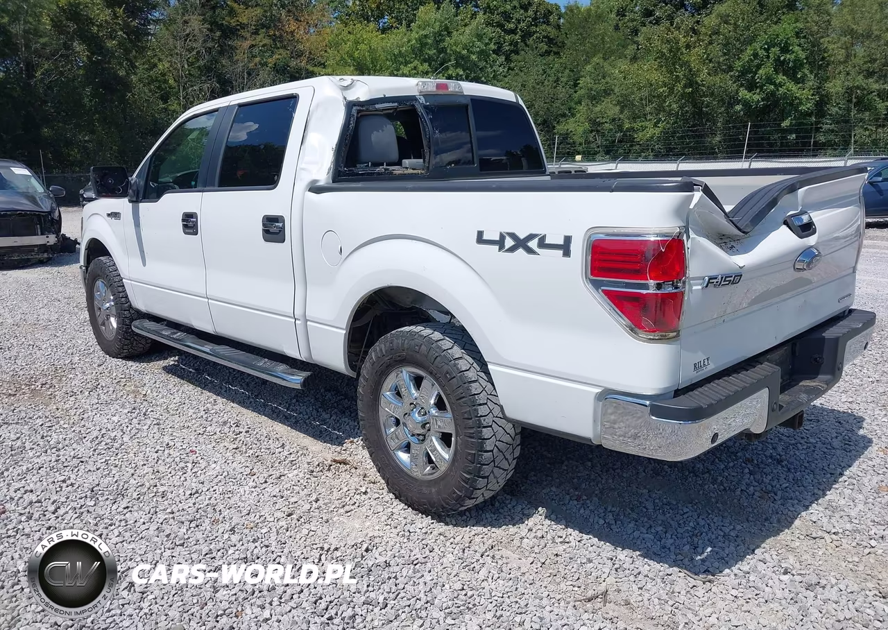 2013 Ford F-150 Xlt VIN:1FTFW1EFXDKD19699 - 3