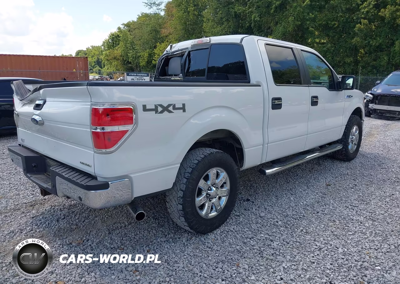 2013 Ford F-150 Xlt VIN:1FTFW1EFXDKD19699 - 4