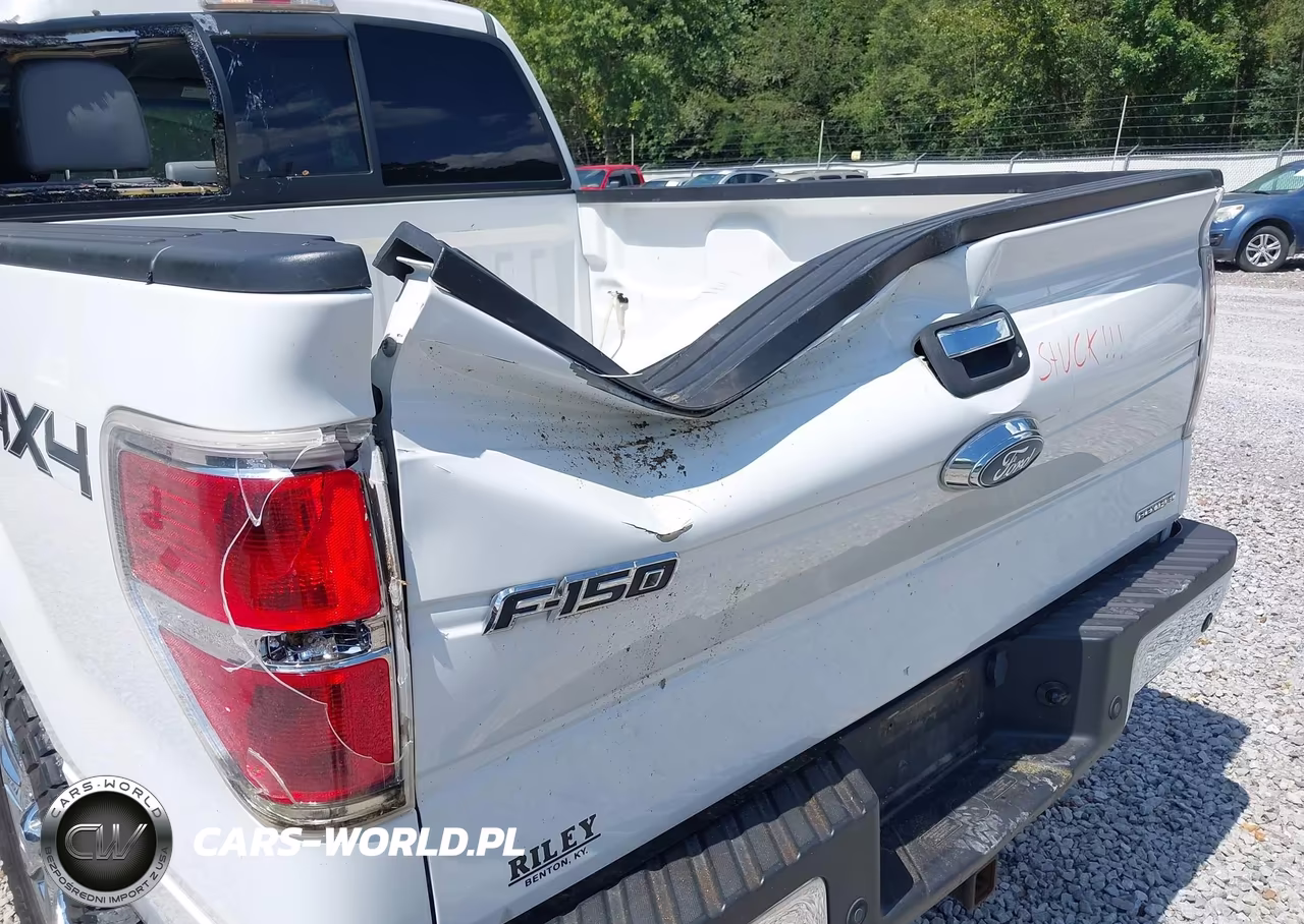 2013 Ford F-150 Xlt VIN:1FTFW1EFXDKD19699 - 6