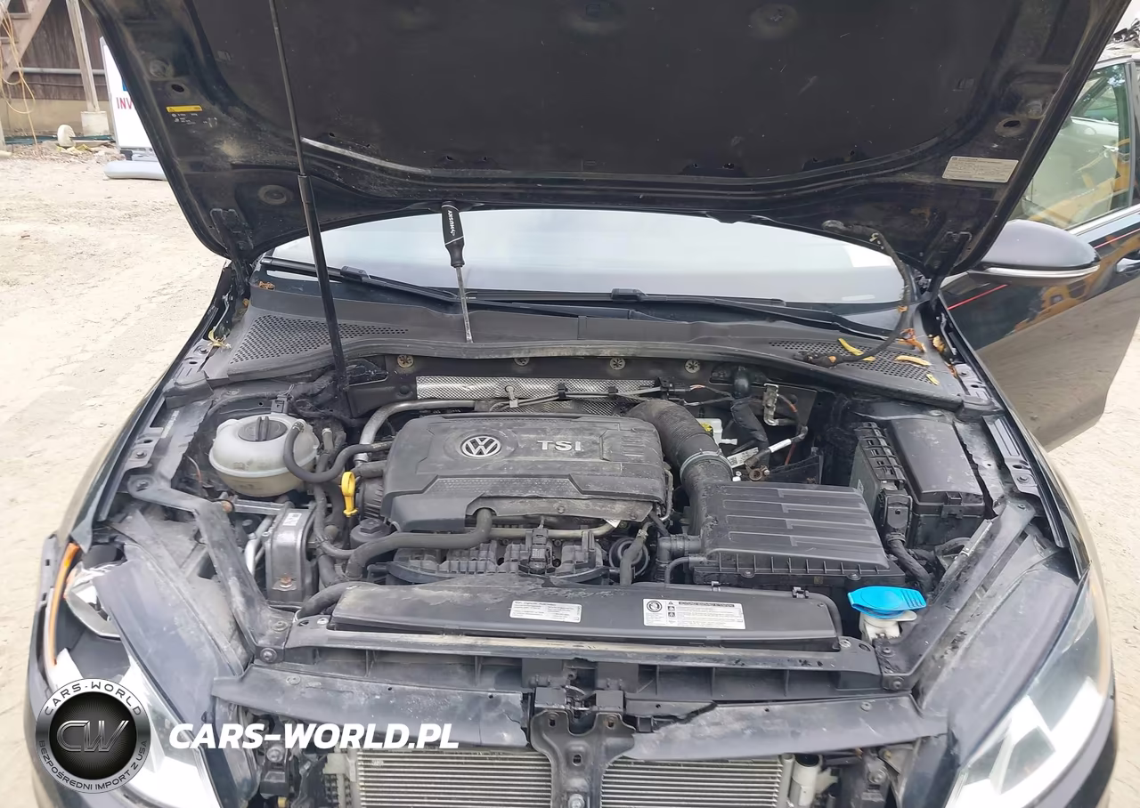 2017 Volkswagen Golf Sportwagen Tsi Sel VIN:3VWC17AU5HM502996 - 10