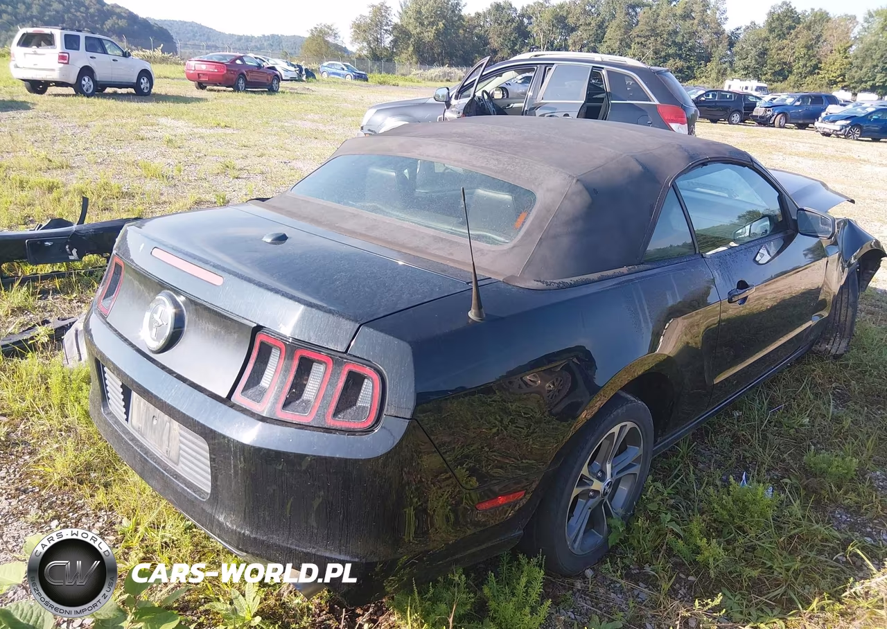 2014 Ford Mustang V6 Premium VIN:1ZVBP8EM3E5266358 - 4