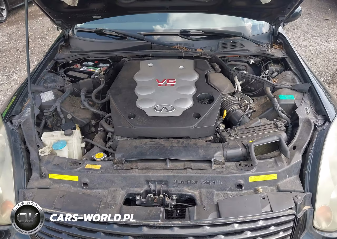 2004 Infiniti G35 VIN:JNKCV54E54M301247 - 10