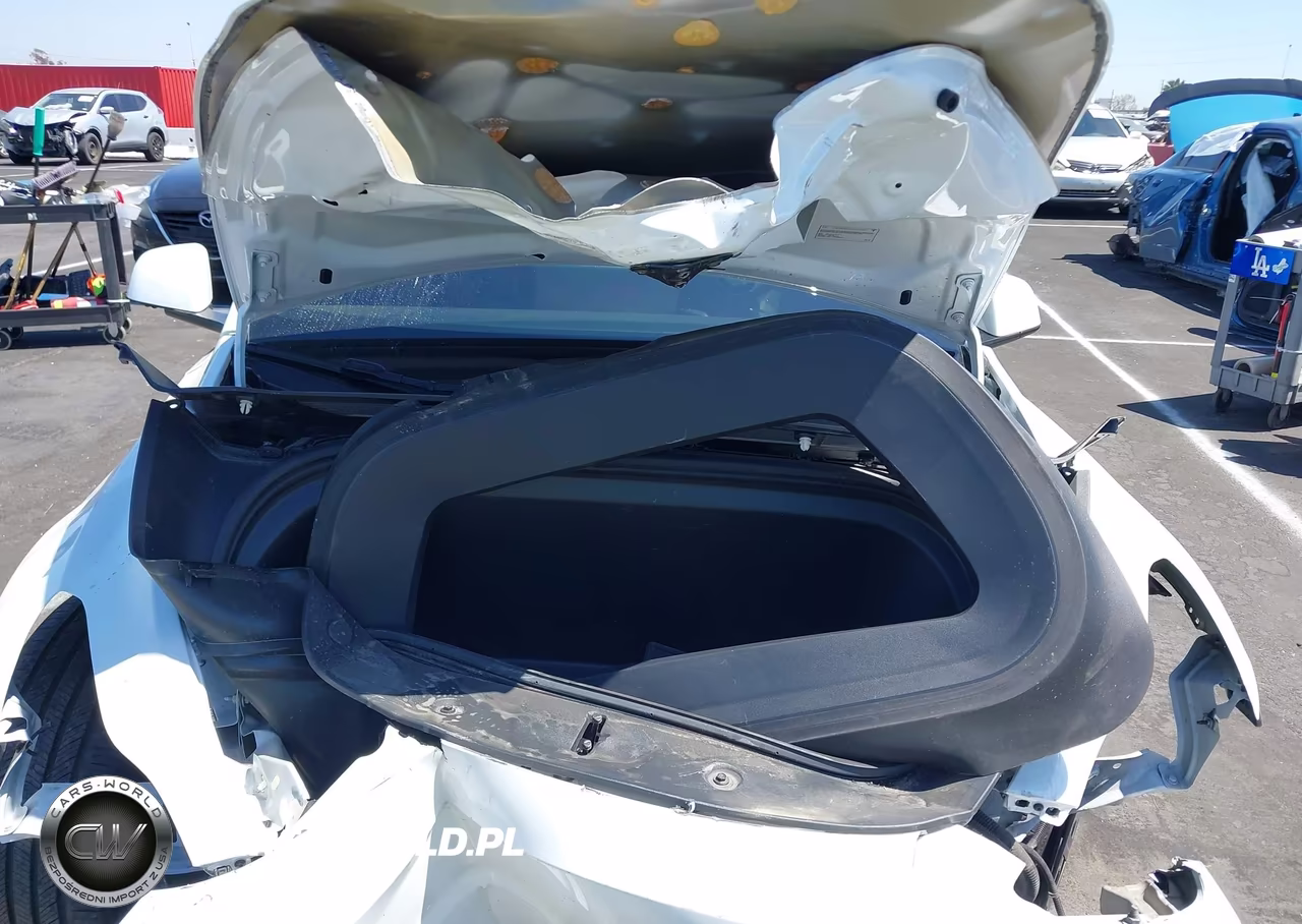 2025 Tesla Model Y Performance Dual Motor All-Wheel Drive VIN:7SAYGDEF3SF267403 - 10