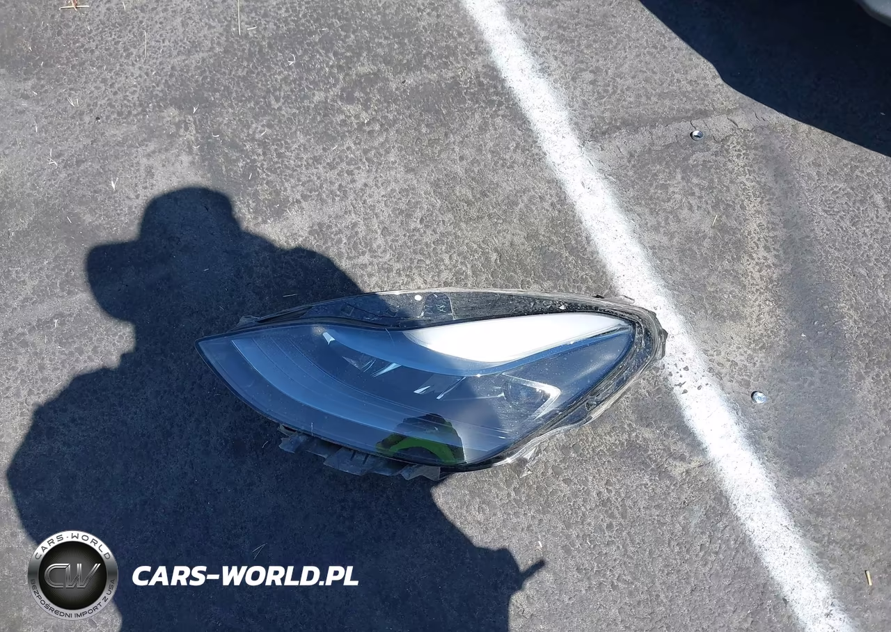 2025 Tesla Model Y Performance Dual Motor All-Wheel Drive VIN:7SAYGDEF3SF267403 - 12