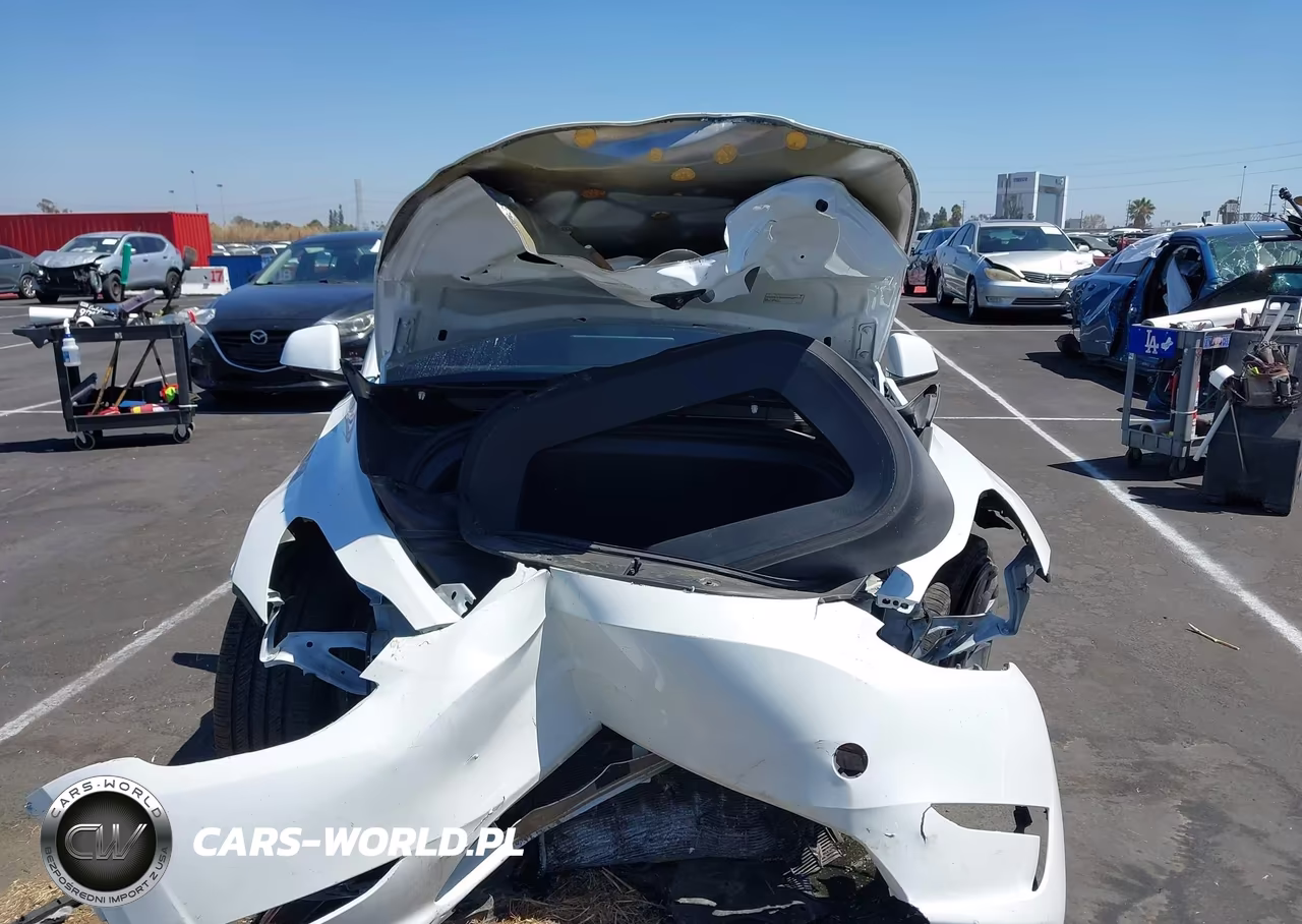 2025 Tesla Model Y Performance Dual Motor All-Wheel Drive VIN:7SAYGDEF3SF267403 - 13