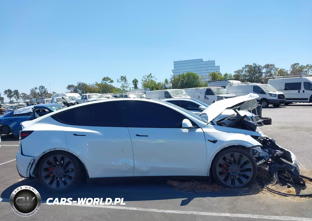 2025 Tesla Model Y Performance Dual Motor All-Wheel Drive VIN:7SAYGDEF3SF267403 - 14
