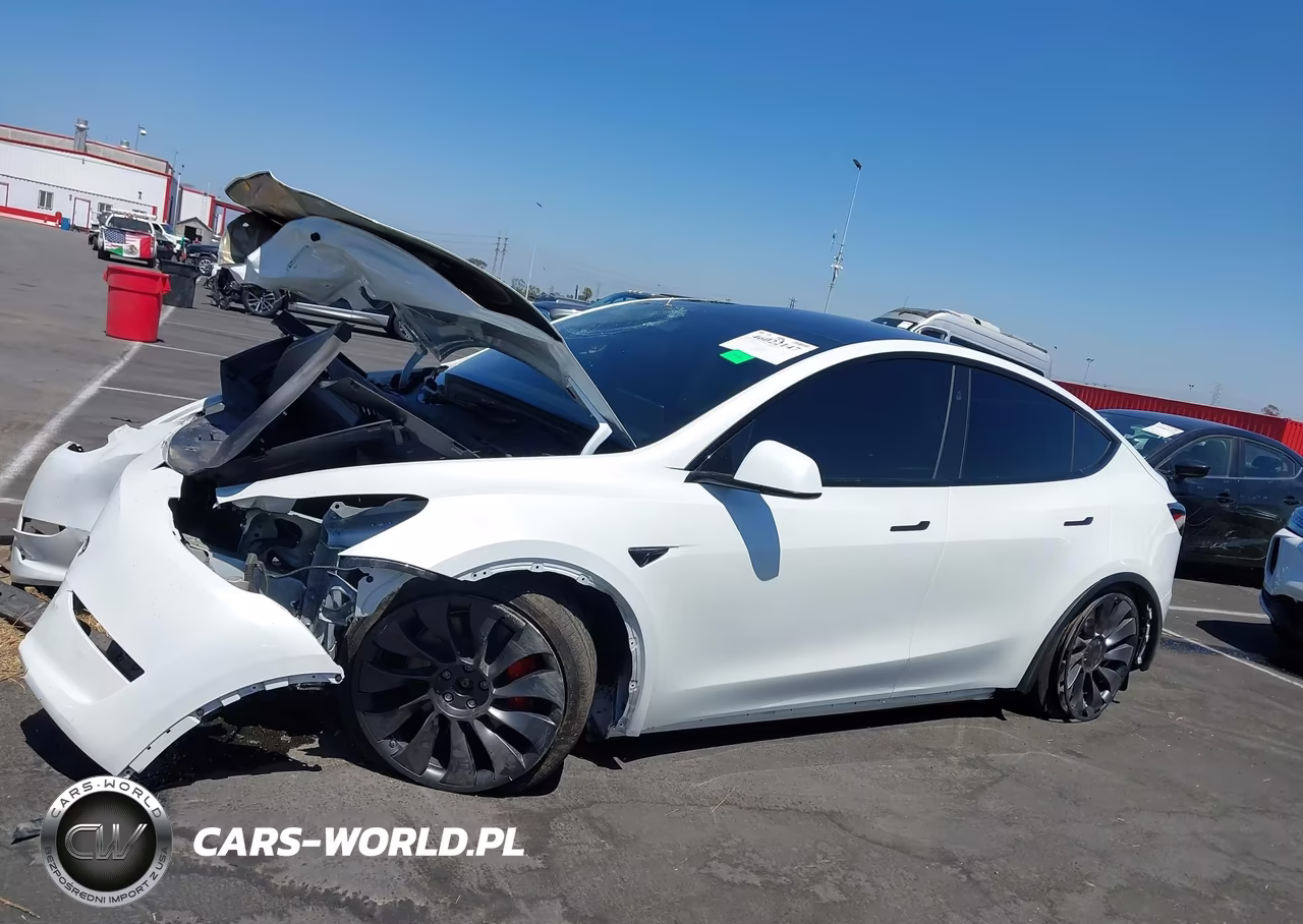 2025 Tesla Model Y Performance Dual Motor All-Wheel Drive VIN:7SAYGDEF3SF267403 - 15