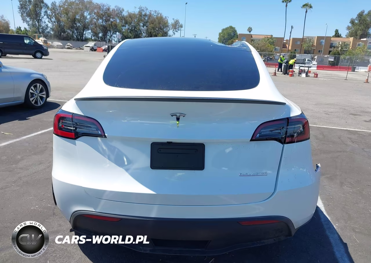 2025 Tesla Model Y Performance Dual Motor All-Wheel Drive VIN:7SAYGDEF3SF267403 - 17