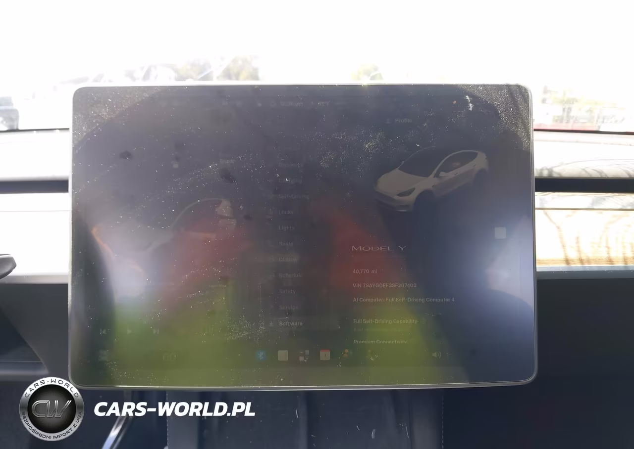 2025 Tesla Model Y Performance Dual Motor All-Wheel Drive VIN:7SAYGDEF3SF267403 - 19