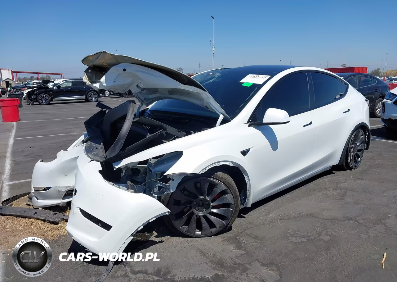 2025 Tesla Model Y Performance Dual Motor All-Wheel Drive VIN:7SAYGDEF3SF267403 - 2
