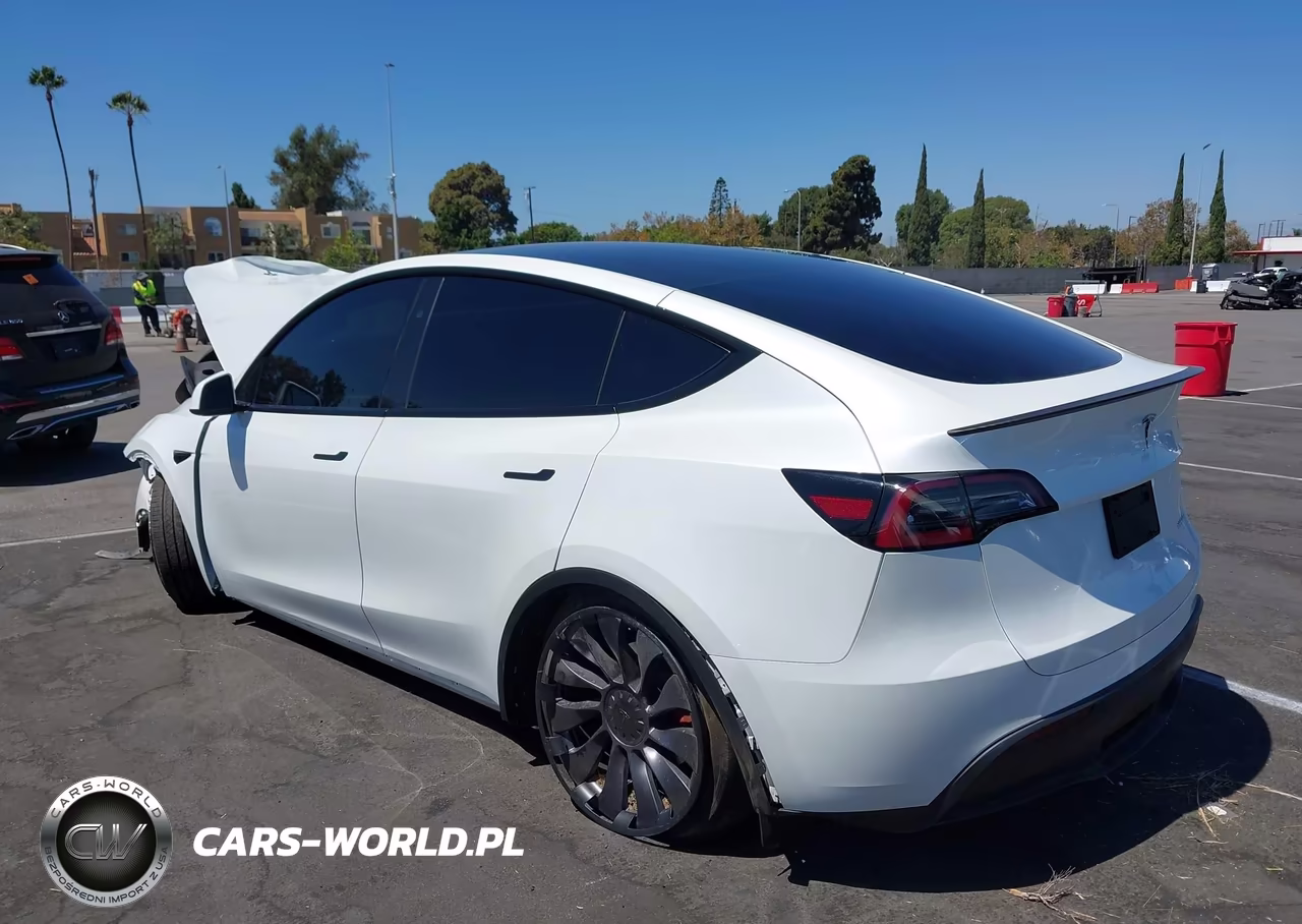 2025 Tesla Model Y Performance Dual Motor All-Wheel Drive VIN:7SAYGDEF3SF267403 - 3