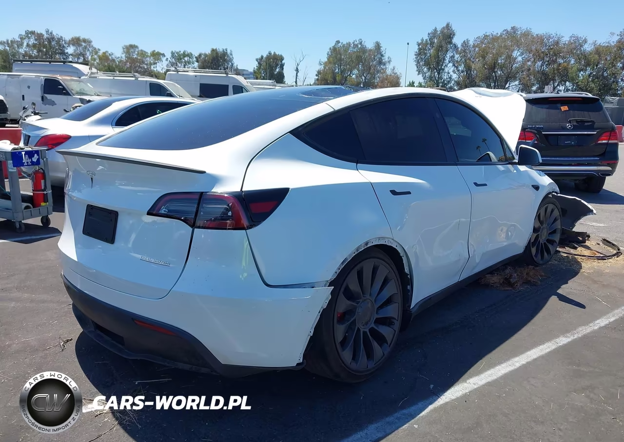 2025 Tesla Model Y Performance Dual Motor All-Wheel Drive VIN:7SAYGDEF3SF267403 - 4
