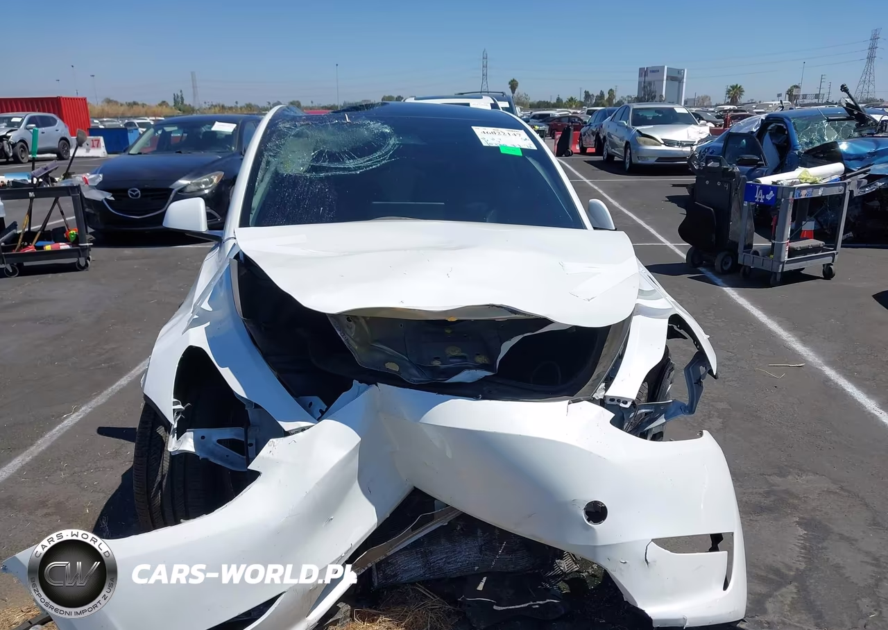 2025 Tesla Model Y Performance Dual Motor All-Wheel Drive VIN:7SAYGDEF3SF267403 - 6