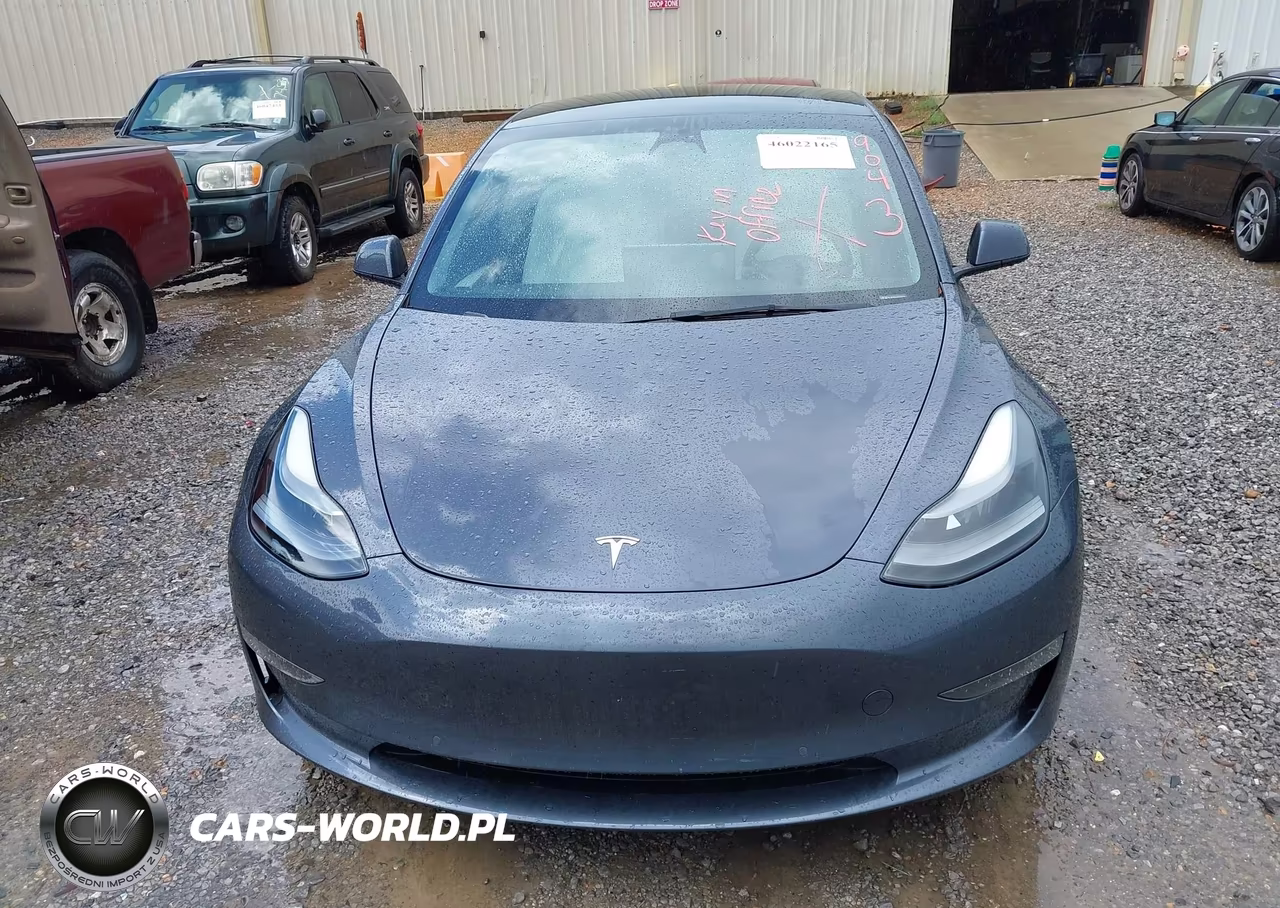 2022 Tesla Model 3 Rear-Wheel Drive VIN:5YJ3E1EA5NF342090 - 12