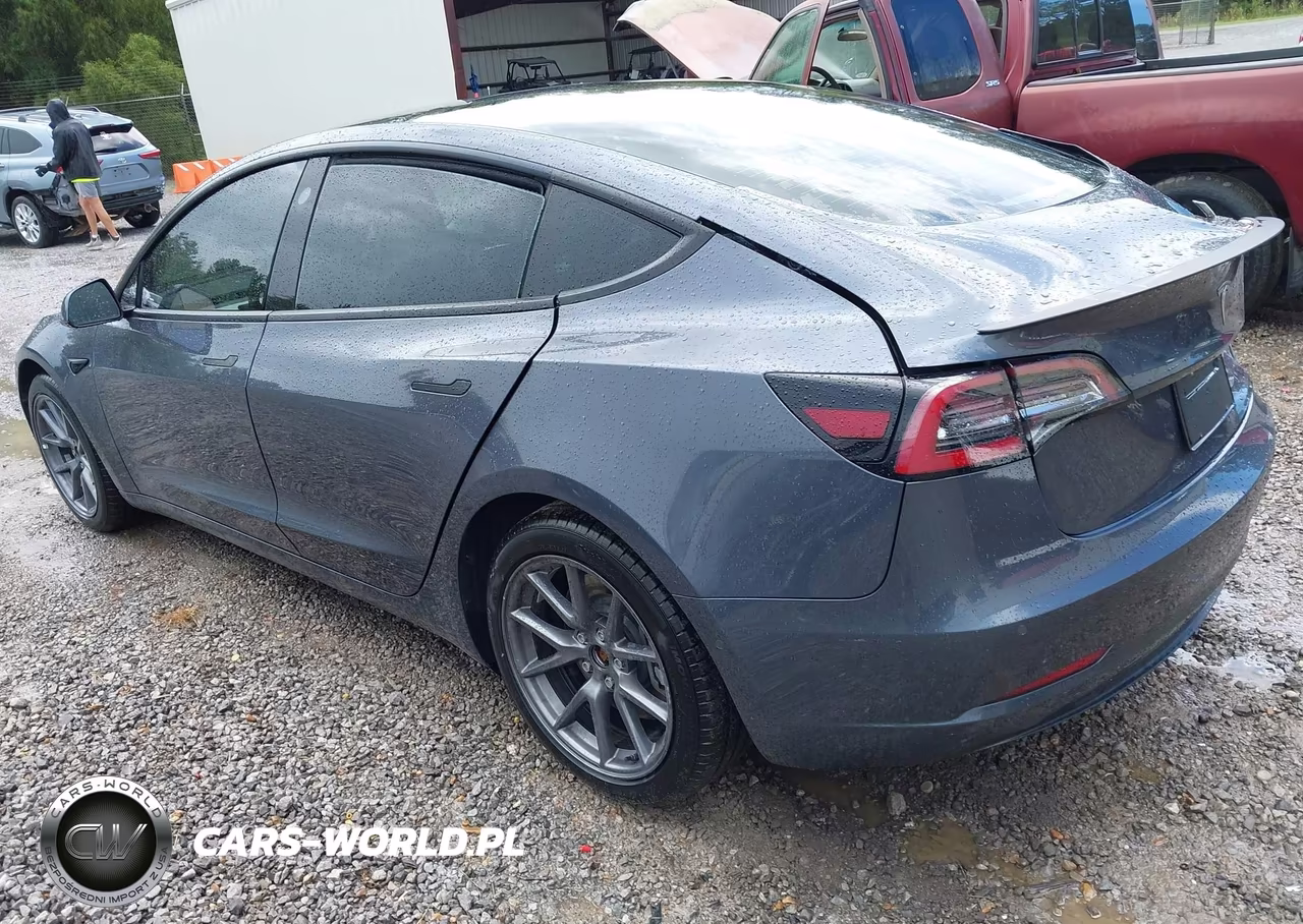 2022 Tesla Model 3 Rear-Wheel Drive VIN:5YJ3E1EA5NF342090 - 3