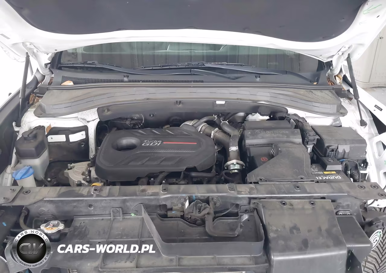 2020 Hyundai Santa Fe Sel 2.0T VIN:5NMS33AA3LH220052 - 10
