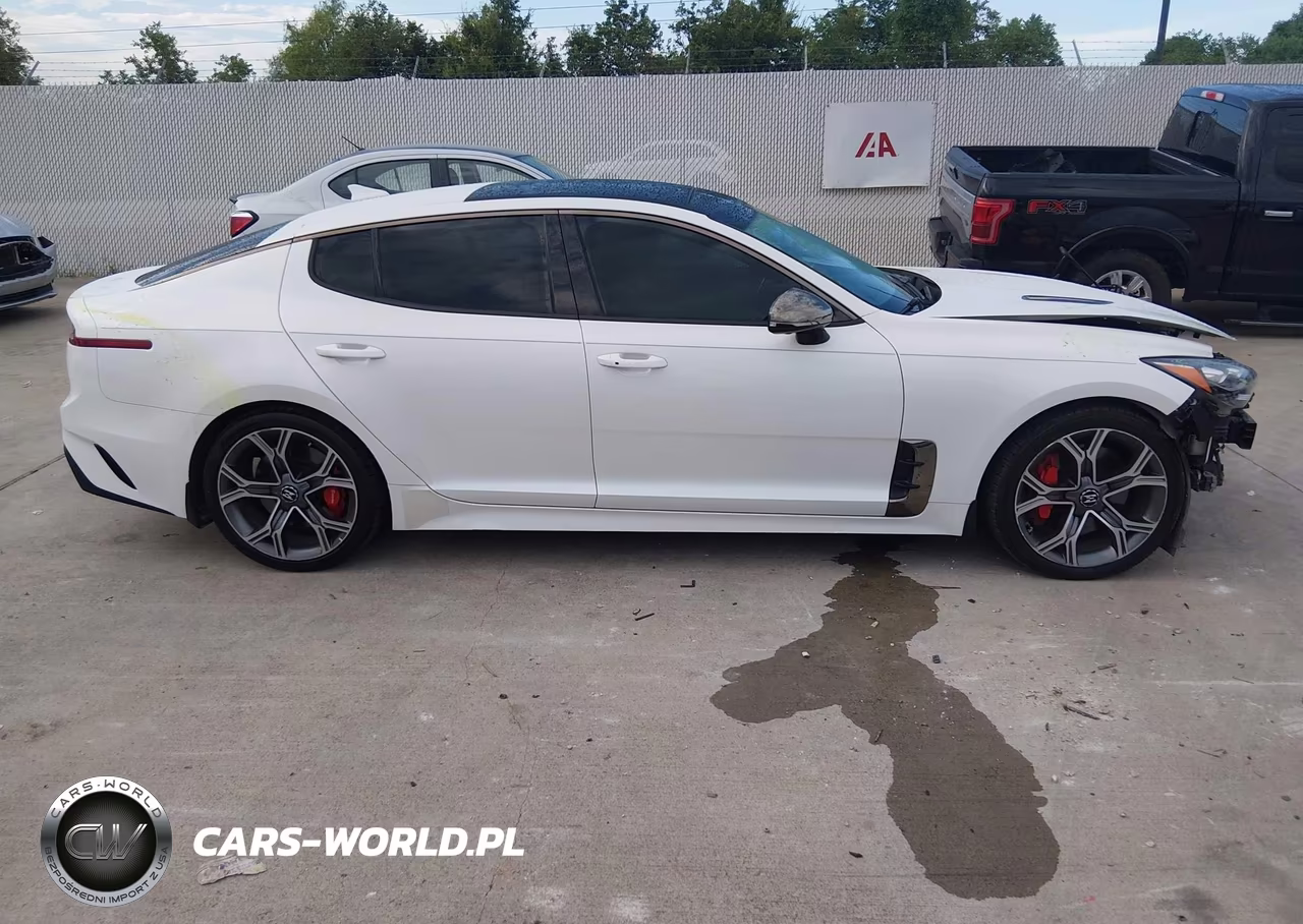 2019 Kia Stinger Gt2 VIN:KNAE55LC5K6064820 - 13