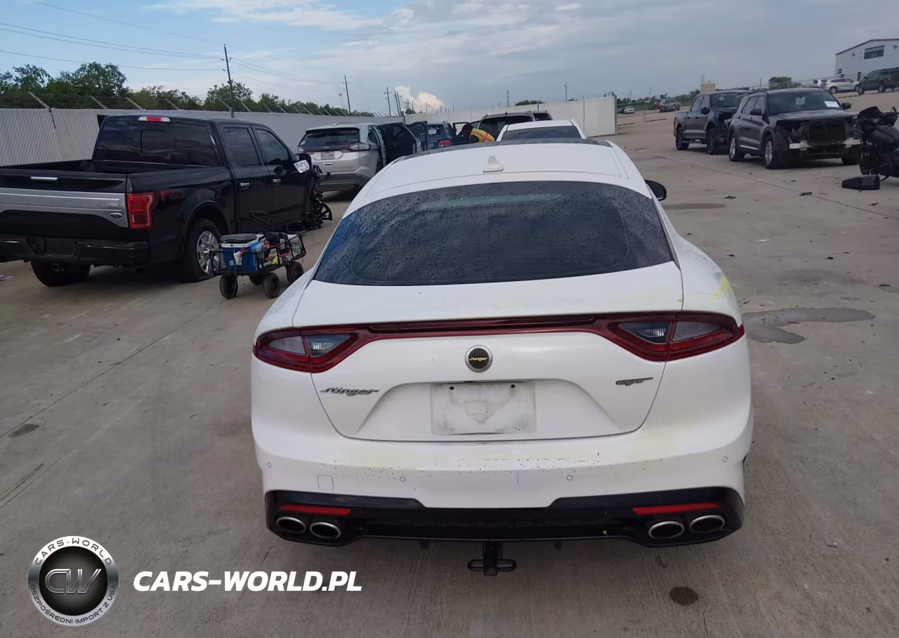 2019 Kia Stinger Gt2 VIN:KNAE55LC5K6064820 - 16