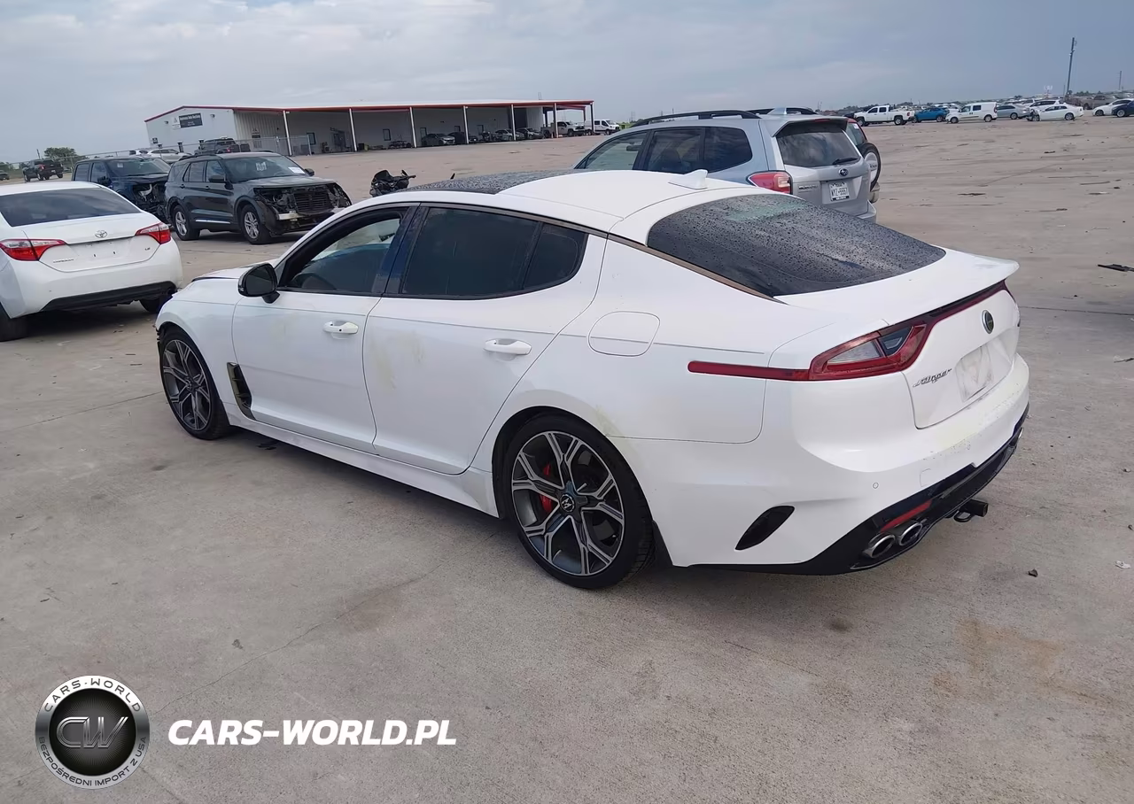 2019 Kia Stinger Gt2 VIN:KNAE55LC5K6064820 - 3