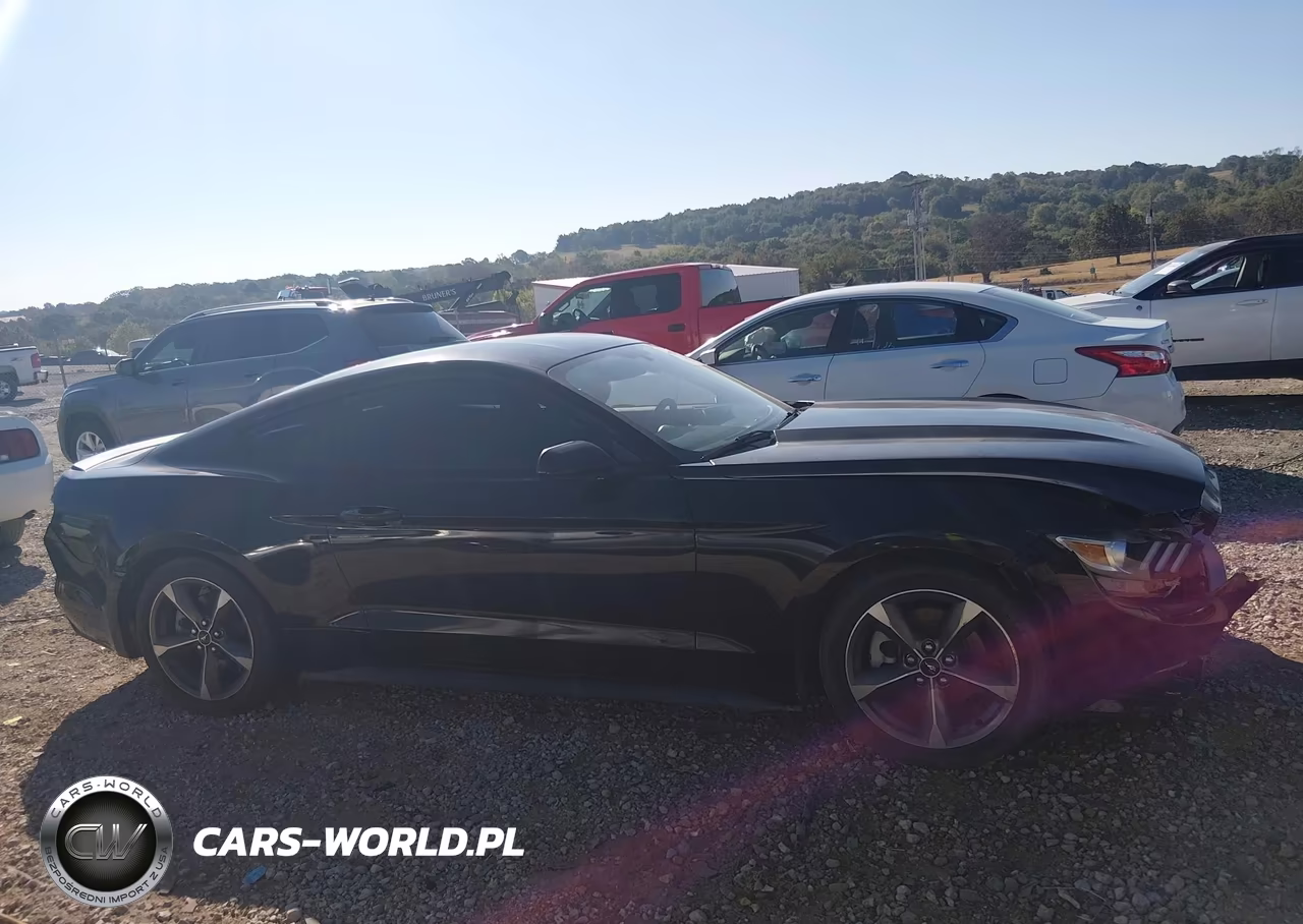 2015 Ford Mustang V6 VIN:1FA6P8AM1F5344220 - 13