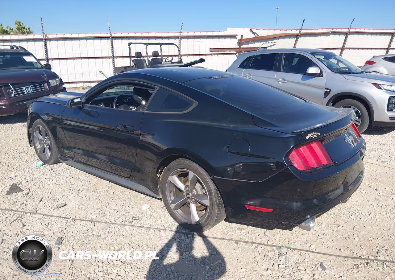 2015 Ford Mustang V6 VIN:1FA6P8AM1F5344220 - 3