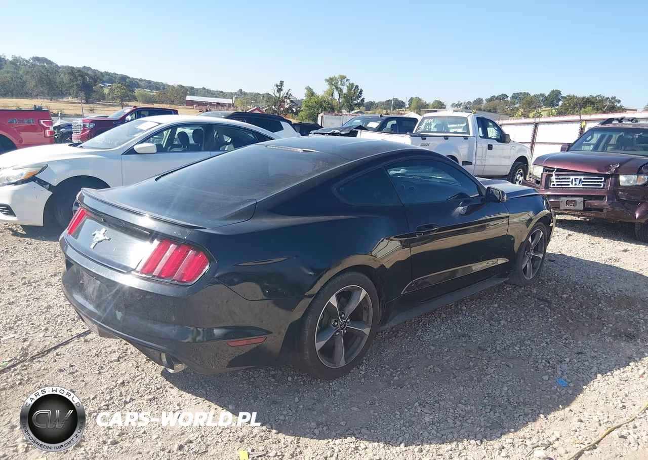 2015 Ford Mustang V6 VIN:1FA6P8AM1F5344220 - 4
