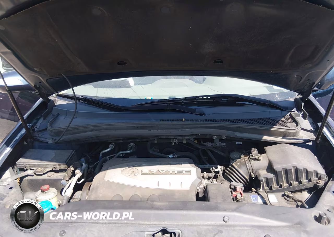 2009 Acura Mdx VIN:2HNYD28279H527349 - 10