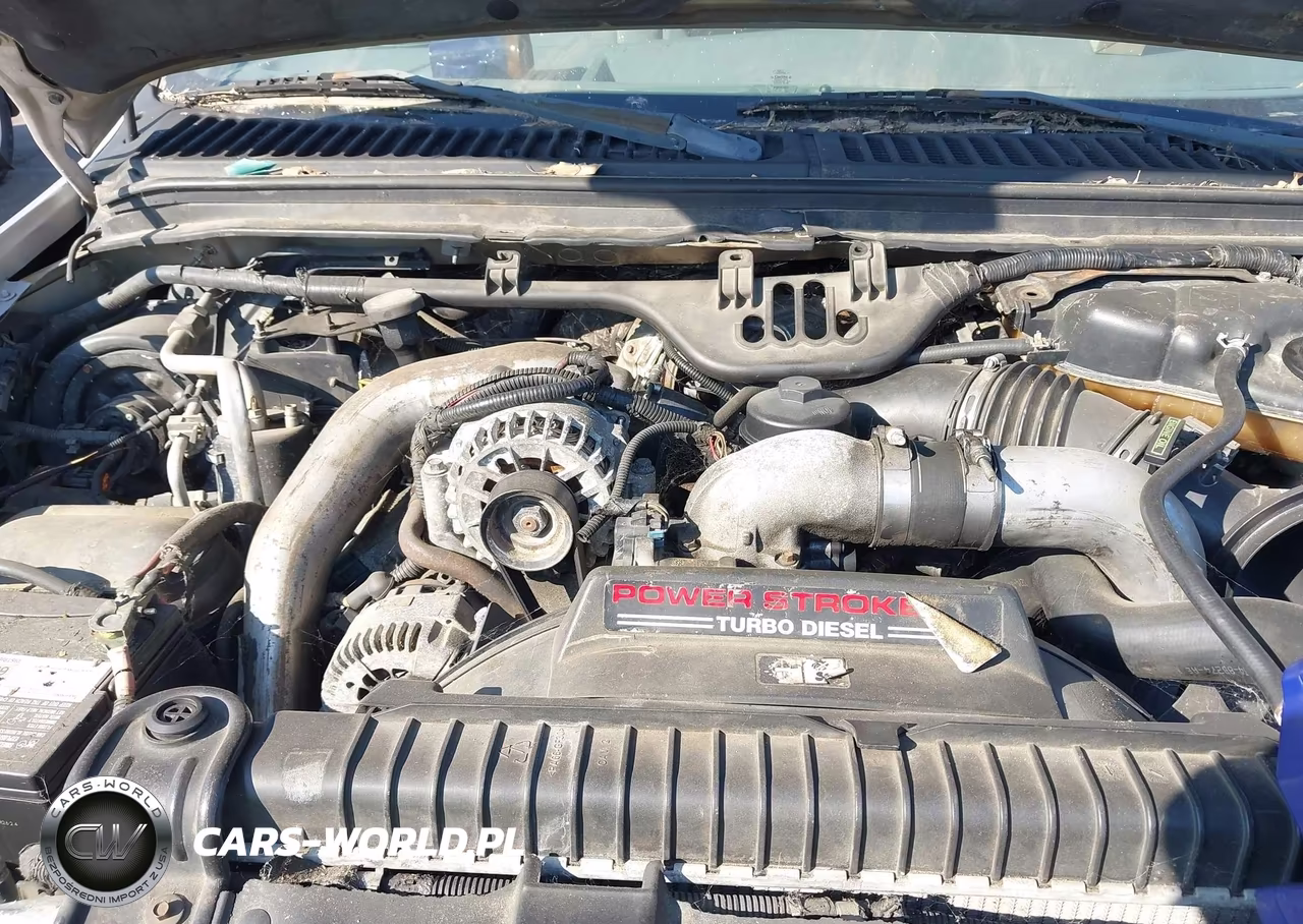 2003 Ford F-250 Lariat-Xl-Xlt VIN:1FTNW20P33ED23883 - 10