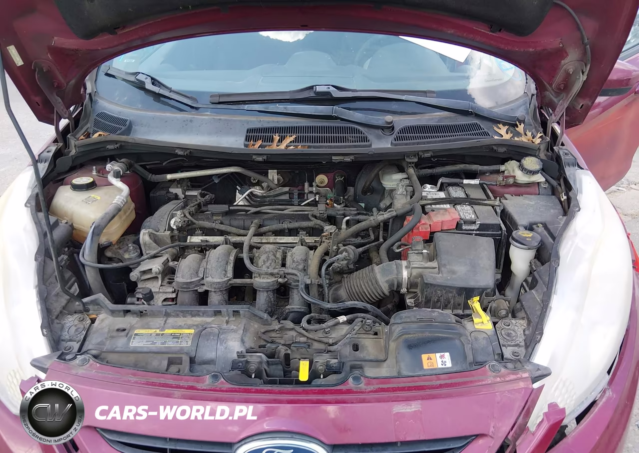 2011 Ford Fiesta Se VIN:3FADP4EJ1BM175434 - 10