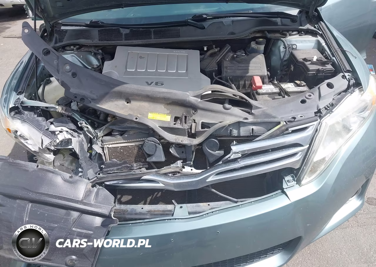 2009 Toyota Venza Base V6 VIN:4T3ZK11A59U003953 - 10