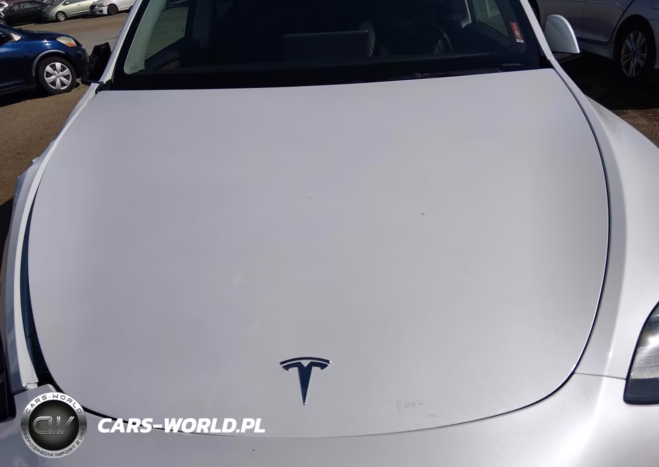 2022 Tesla Model Y Long Range Dual Motor All-Wheel Drive VIN:7SAYGDEE6NF557887 - 10