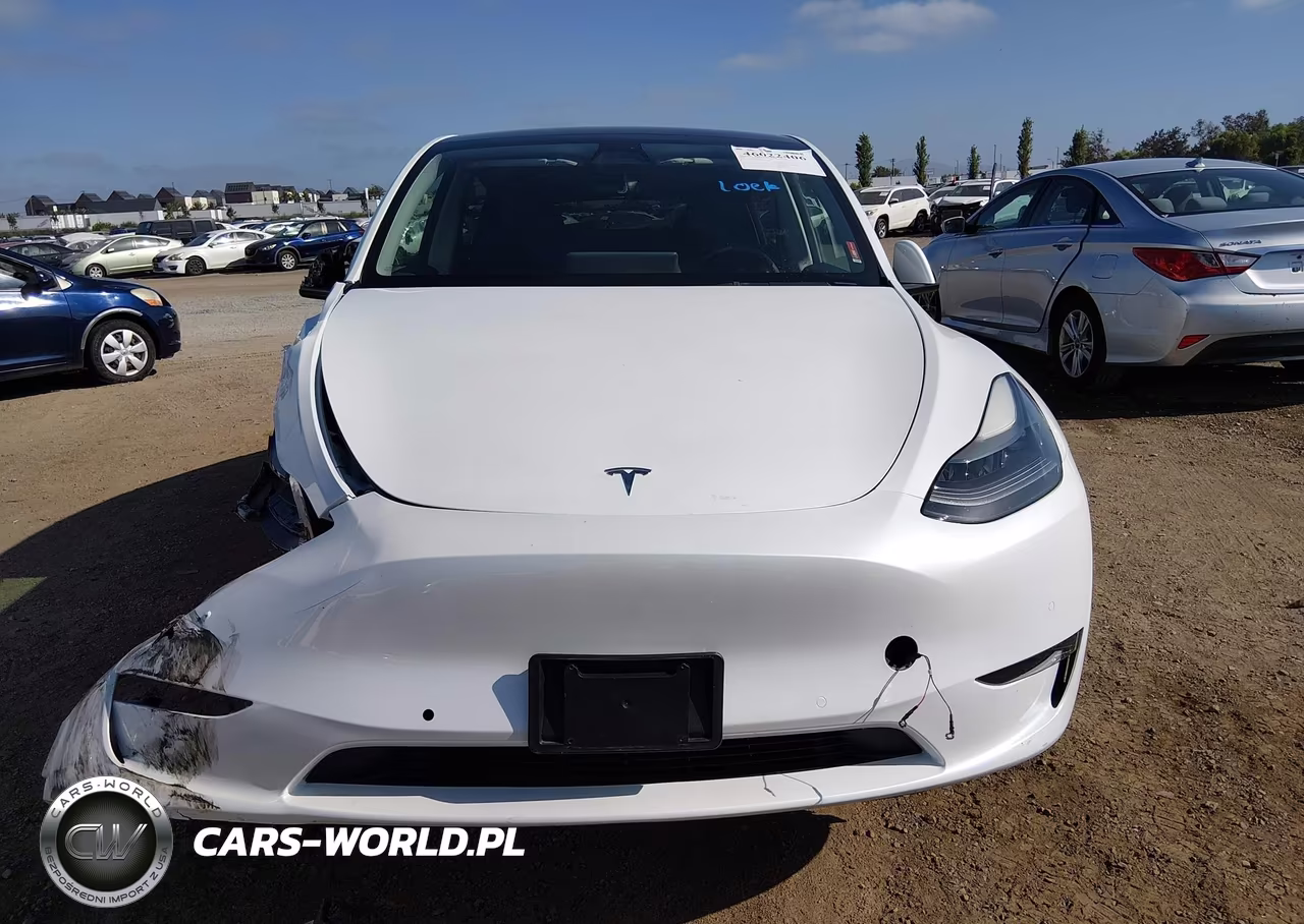 2022 Tesla Model Y Long Range Dual Motor All-Wheel Drive VIN:7SAYGDEE6NF557887 - 11