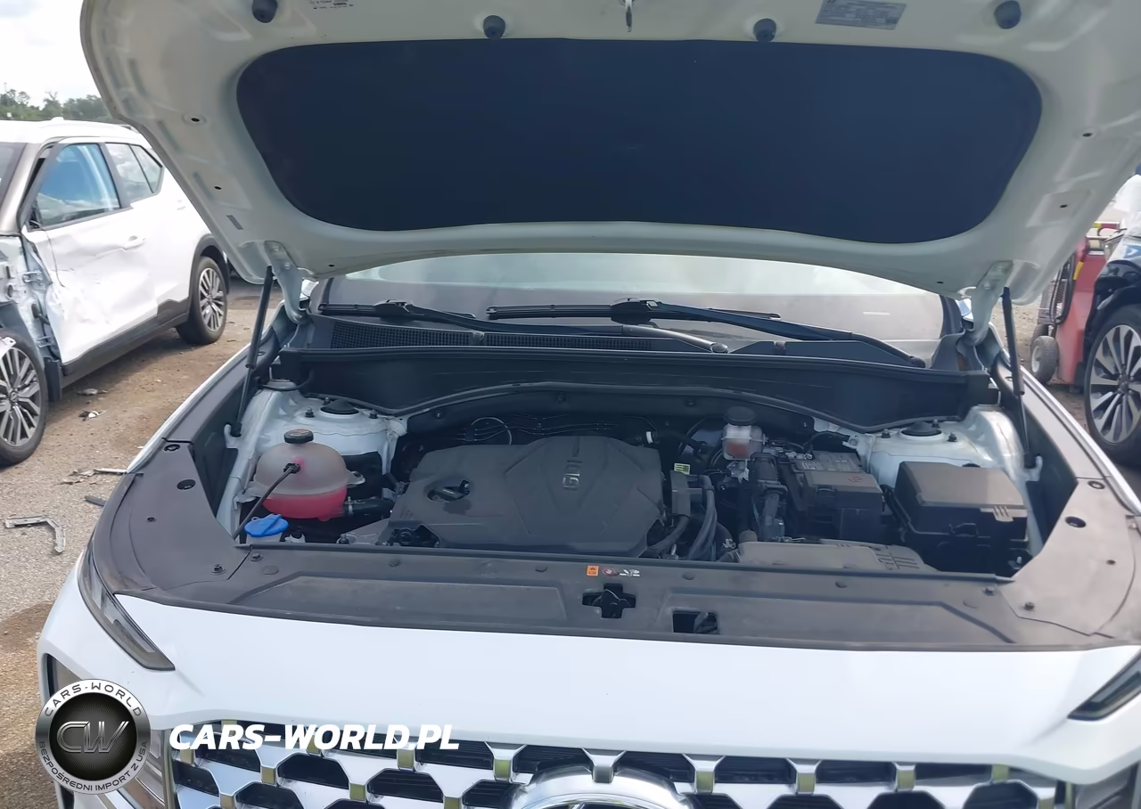 2022 Hyundai Santa Fe Sel VIN:5NMS3DAJ6NH474606 - 10