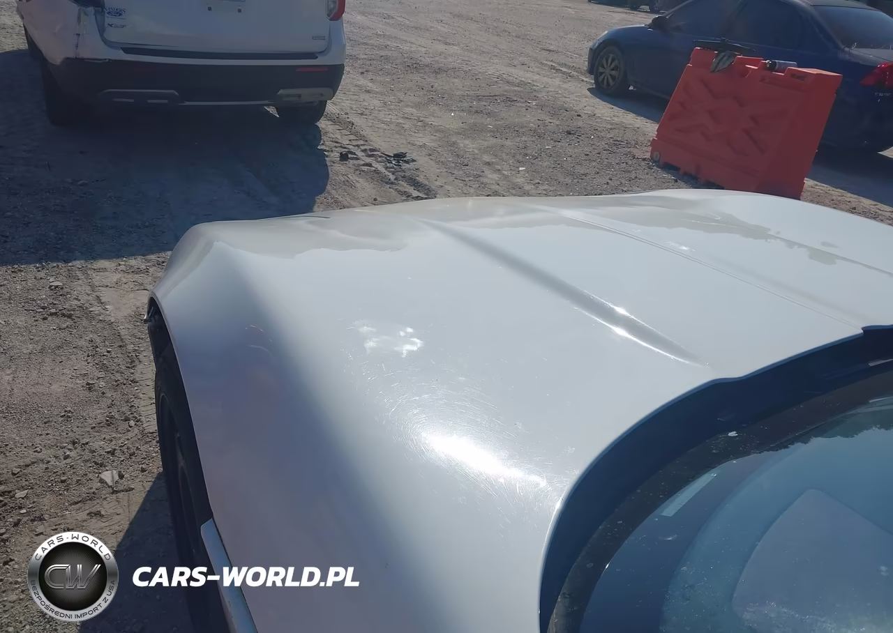 1989 Chevrolet Corvette VIN:1G1YY3181K5115769 - 10
