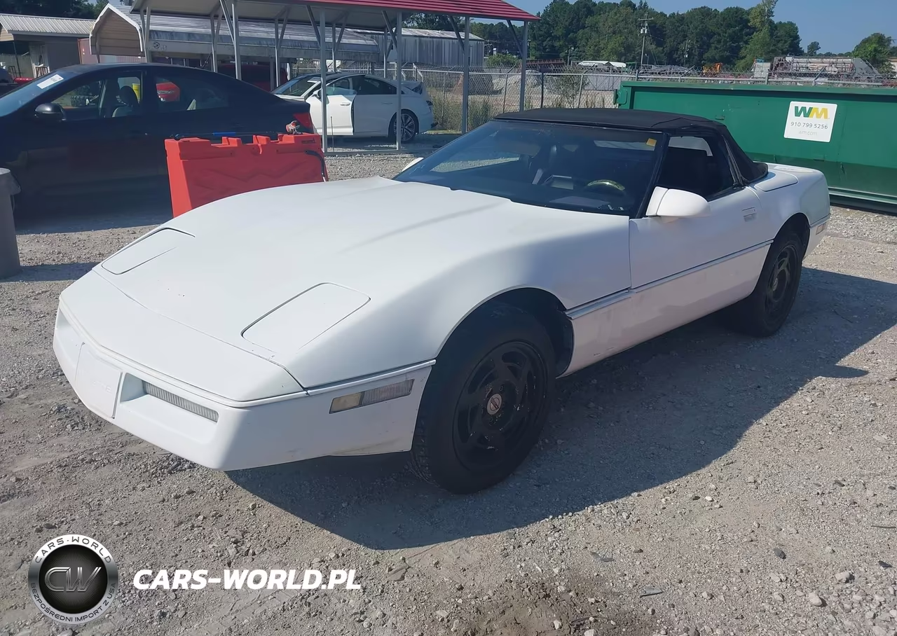 1989 Chevrolet Corvette VIN:1G1YY3181K5115769 - 2