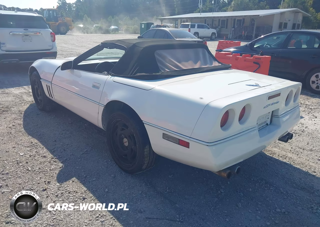 1989 Chevrolet Corvette VIN:1G1YY3181K5115769 - 3
