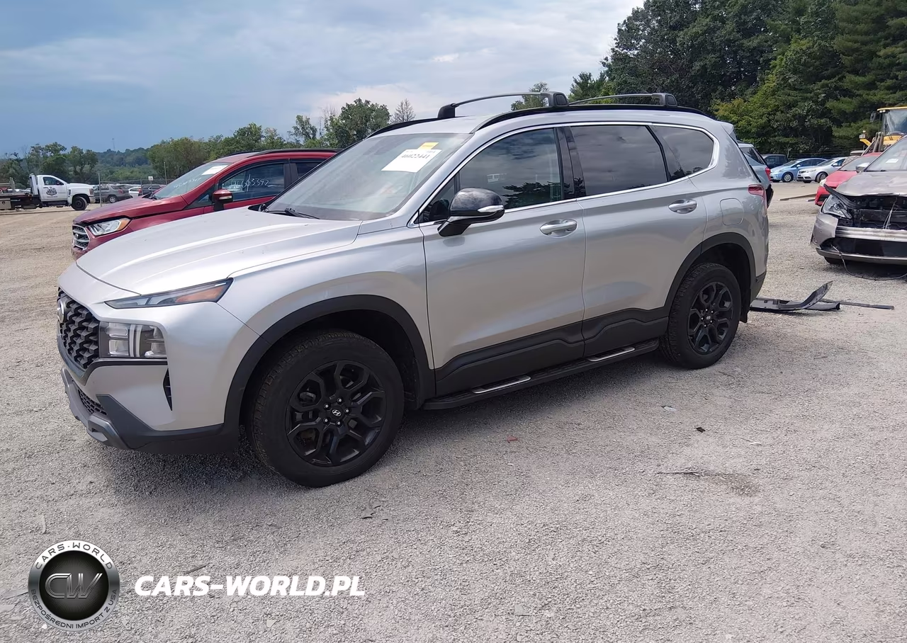 2023 Hyundai Santa Fe Xrt VIN:5NMS6DAJ7PH549713 - 2