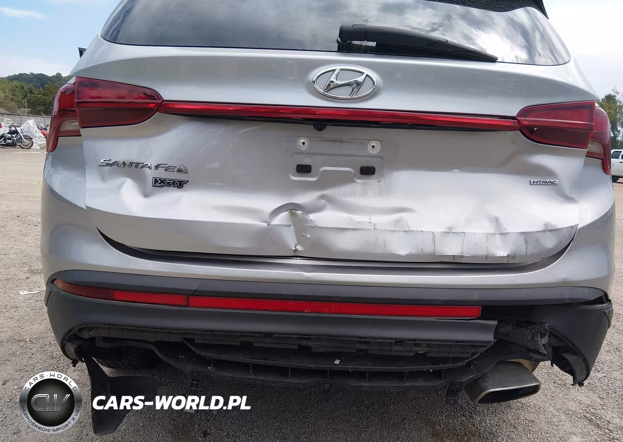 2023 Hyundai Santa Fe Xrt VIN:5NMS6DAJ7PH549713 - 6