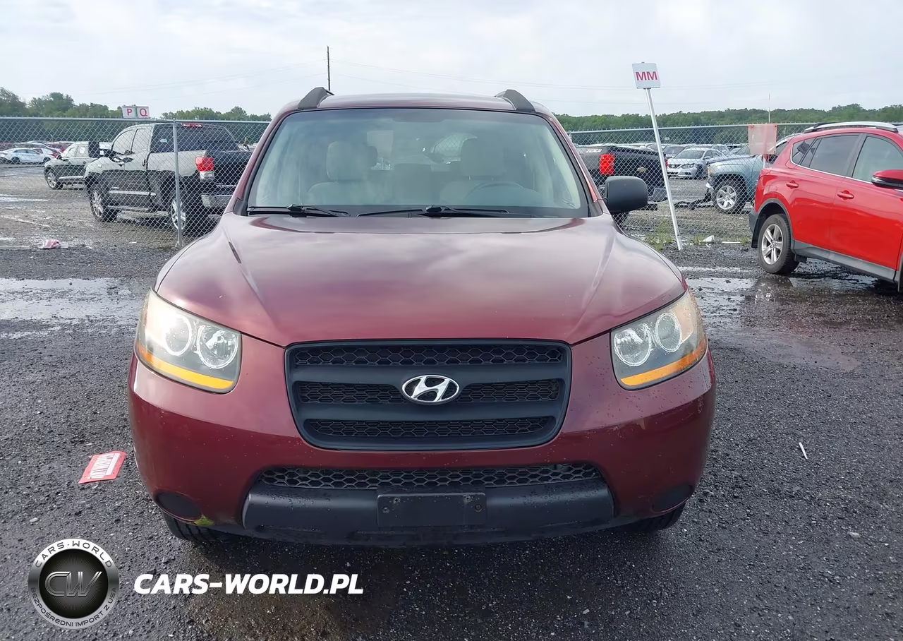 2009 Hyundai Santa Fe Gls VIN:5NMSG13D89H274603 - 12