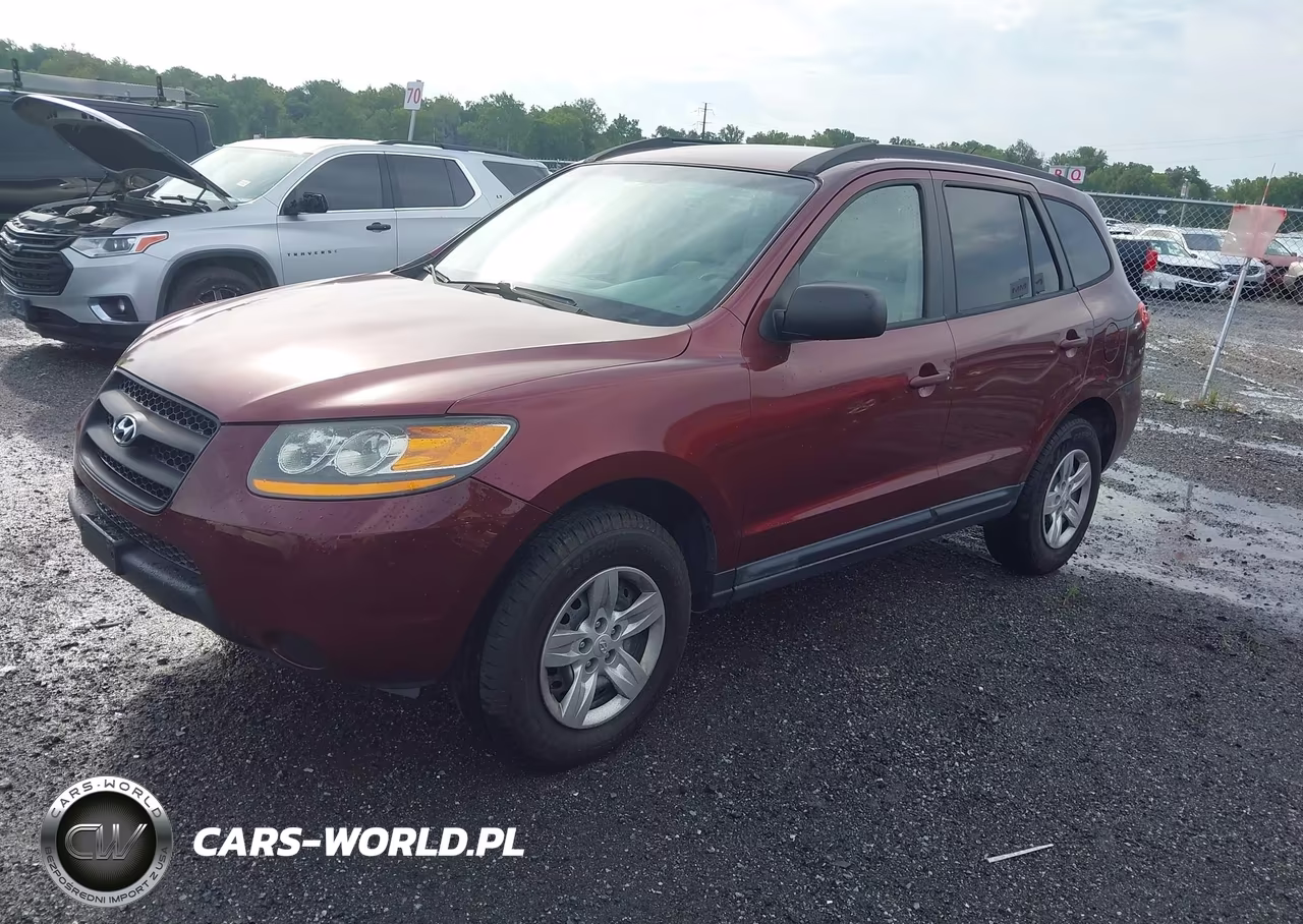 2009 Hyundai Santa Fe Gls VIN:5NMSG13D89H274603 - 2