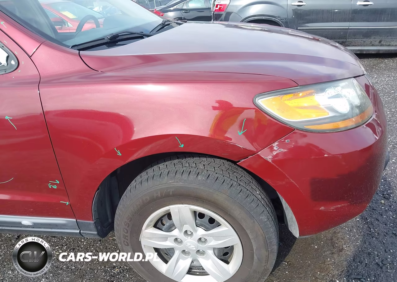2009 Hyundai Santa Fe Gls VIN:5NMSG13D89H274603 - 6